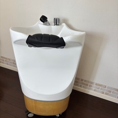 移動式シャンプー台　PERROの画像
