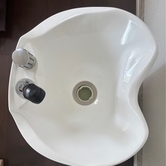 移動式シャンプー台　PERROの画像