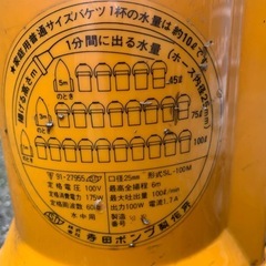 寺田ポンプSL-100Mの画像