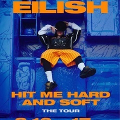 ビリーアイリッシュ Billie Eilish 8/16(土) アリーナスタンディング チケット 1枚の画像