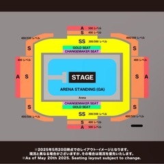 ビリーアイリッシュ Billie Eilish 8/16(土) アリーナスタンディング チケット 1枚の画像