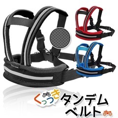 ダンデムベルトの画像