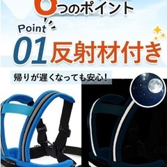 ダンデムベルトの画像