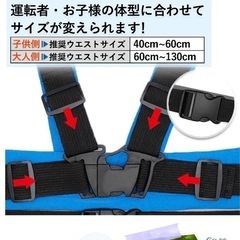ダンデムベルトの画像