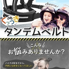 ダンデムベルトの画像