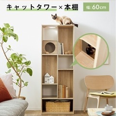 キャットタワー　兼 棚の画像
