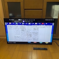 ジャンク 液晶テレビ40型 アイリス 日時限定東京埼玉無料配送の画像
