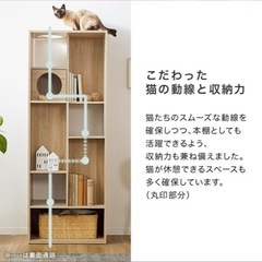 キャットタワー　兼 棚の画像
