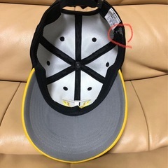 阪神タイガース　ウインドブレーカー、キャップの画像