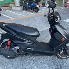 シグナス台湾２型の画像