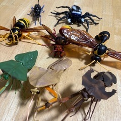 いきもの大図鑑ガチャガチャ昆虫の画像