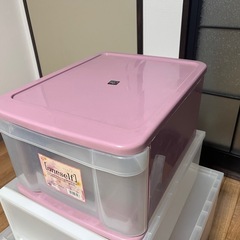 収納ケース（アイリスオーヤマ）の画像