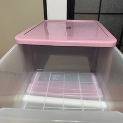 収納ケース（アイリスオーヤマ）の画像