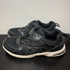 24.5EE cm 瞬足 スニーカーの画像