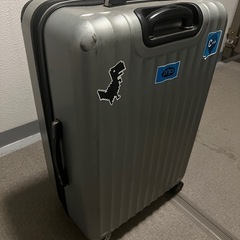 容量多めのスーツケースの画像