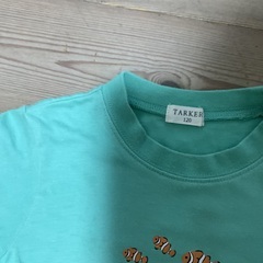 男の子用Tシャツ3枚(120)の画像