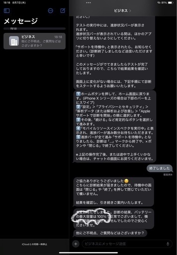 IPAD10世代、256GB、100%