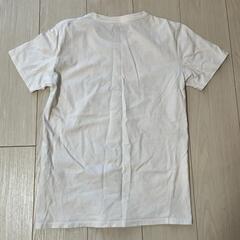 プリント Tシャツの画像