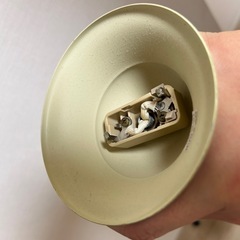 シャンデリアライトの画像