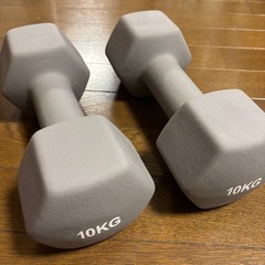 鉄アレイ　10kg x 2の画像