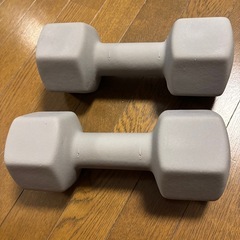 鉄アレイ　10kg x 2の画像