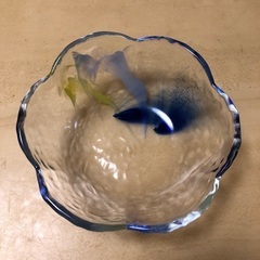 小皿の画像
