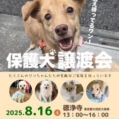 保護犬 譲渡会 8月16日 東京都