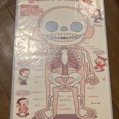パズル　人間の体の画像