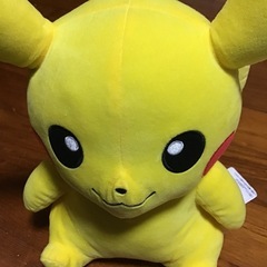 ピカチュウ🫧の画像