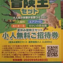 東南植物楽園とネオパークの小人の無料券の画像