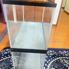 フレーム60cm水槽の画像