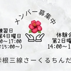 🌺彦根沖縄三線(さんしん)