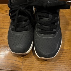 スケッチャーズ靴
の画像