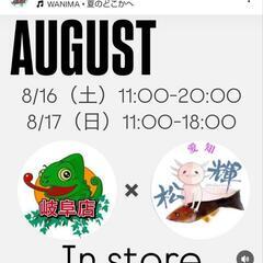 ８月１６日１７日　ネイチャーズ岐阜店　ウーパールーパー