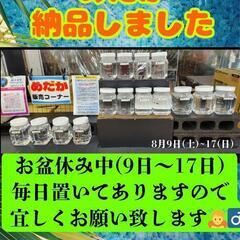 🐠メダカ飼育を趣味に🐠