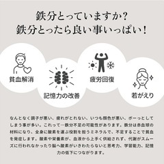 保証3年付　南部鉄器 まいにち鉄分摂取鍋 岩鋳 片手鍋 16cm 両口 木柄ハンドルの画像