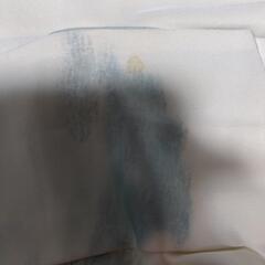 訪問着と単衣の地模様無地の画像