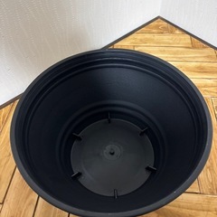 コトブキ　ミニ睡蓮鉢　メダカの画像
