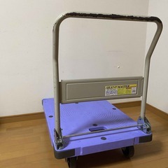 大型　樹脂製台車　ナンシン　300kgの画像