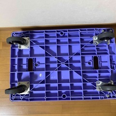 大型　樹脂製台車　ナンシン　300kgの画像