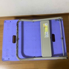 大型　樹脂製台車　ナンシン　300kgの画像