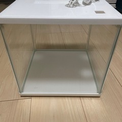 お魚の水槽の画像