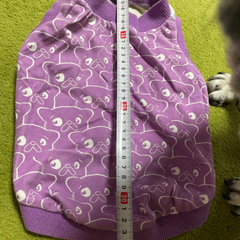 紫のパグ柄犬用服🪻の画像