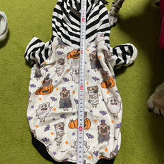 ハロウィンパグ柄犬用服🎃の画像