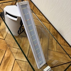 コトブキ　レグラスフラット400 フルセット　メダカの画像