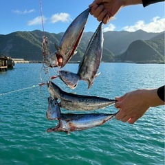 清水港周辺での釣り友達募集