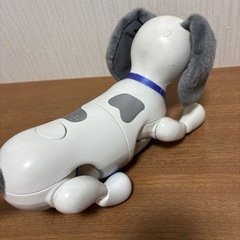 オムニボット ハロー! ズーマー ミニチュアダックス の画像