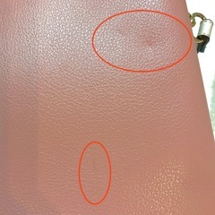 ロデスコ　ミニバッグの画像