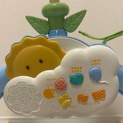 プーメリーの画像