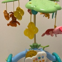 プーメリーの画像
